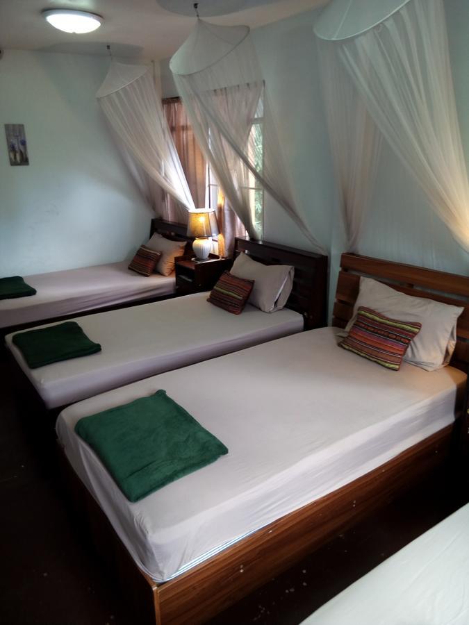 Twin House @ Tapae Pansiyon Chiang Mai Dış mekan fotoğraf