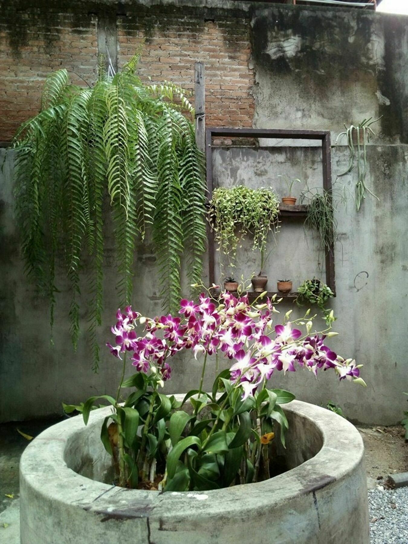 Twin House @ Tapae Pansiyon Chiang Mai Dış mekan fotoğraf